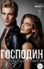 обложка книги Читай DRAGONFLY "Господин Разрушитель"