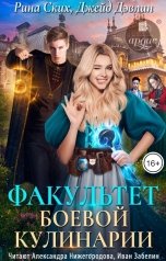 обложка книги Рина Ских "Факультет боевой кулинарии"