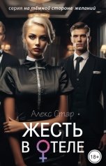 обложка книги Алекс Стар "Жесть в отеле"