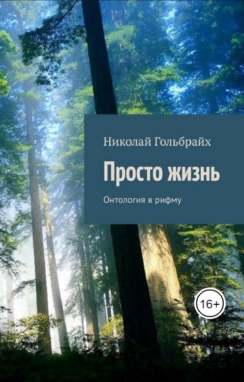 Обложка книги Николай Гольбрайх Просто Жизнь Онтология в рифму