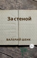 обложка книги Валерий Шенк "За стеной"