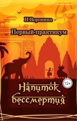 обложка книги И. Воронина "Первый практикум. Напиток бессмертия."