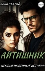 обложка книги Лилита Край "Айтишник"