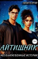 обложка книги Лилита Край "Айтишник"