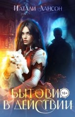 обложка книги Натали Лансон "Бытовик в действии"