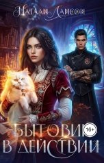 обложка книги Натали Лансон "Бытовик в действии"