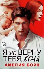 обложка книги Амелия Борн "Я (не) верну тебя, жена"