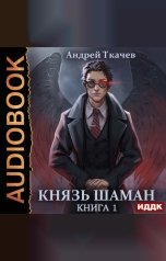 обложка книги Ткачев Андрей "Князь шаман. Книга 1"