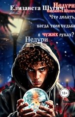 обложка книги Елизавета Шугич "Недури"
