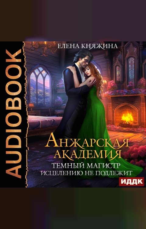 Обложка книги ИДДК Анжарская академия. Темный магистр исцелению не подлежит