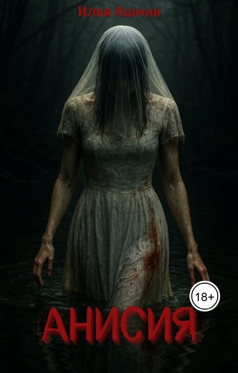 Обложка книги Илья Ашмин Анисия