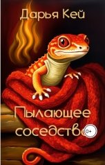 обложка книги Daria Key "Пылающее соседство"