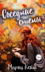 обложка книги Мария Кейль "Соседние стены"