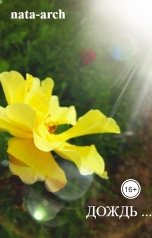 обложка книги nata-arch "Дождь ..."