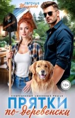 обложка книги Евгения Шагурова "Прятки по-деревенски"