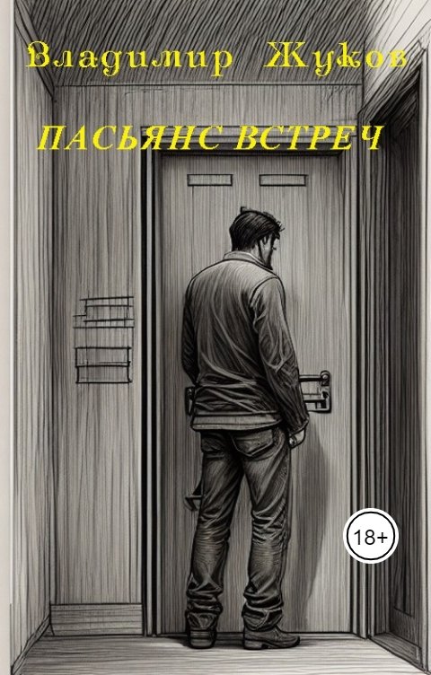 Обложка книги Vladimir Zhukov Пасьянс встреч