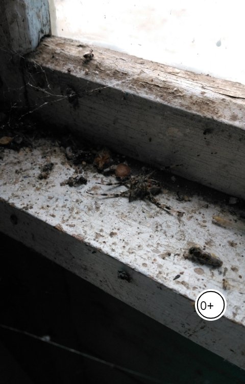 Обложка книги Годфруа Паук