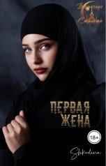 обложка книги Shkodina "Первая жена"