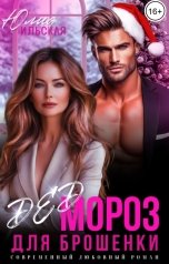 обложка книги Юлия Ильская "Дед Мороз для брошенки"