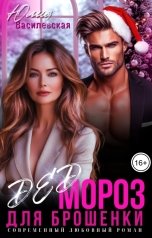 обложка книги Юлия Василевская "Дед Мороз для брошенки"