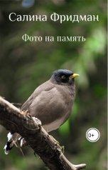 обложка книги Салина Фридман "Фото на память"