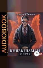 обложка книги Ткачев Андрей "Князь шаман. Книга 2"