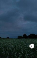 обложка книги Ксения Середкина "Хочу с тобой поговорить"