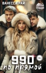 обложка книги Ванесса Рай "990 по прямой"