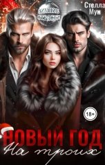 обложка книги Стелла Мун "Новый год на троих"
