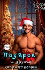 обложка книги Аврора Орлова "Подарок и другие неприятности"