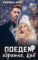 обложка книги Руфина Брис "Поедем обратно, Кай"