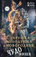 обложка книги Анна Жнец "Старушка-молодушка и новогоднее чудо(вище)"