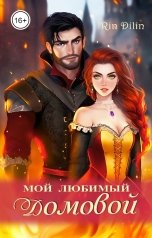 обложка книги Рин Дилин "Мой любимый домовой"