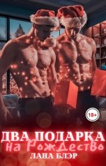 обложка книги Лана Блэр "Два подарка на Рождество"