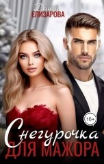 обложка книги Даша Елизарова "Снегурочка для мажора"