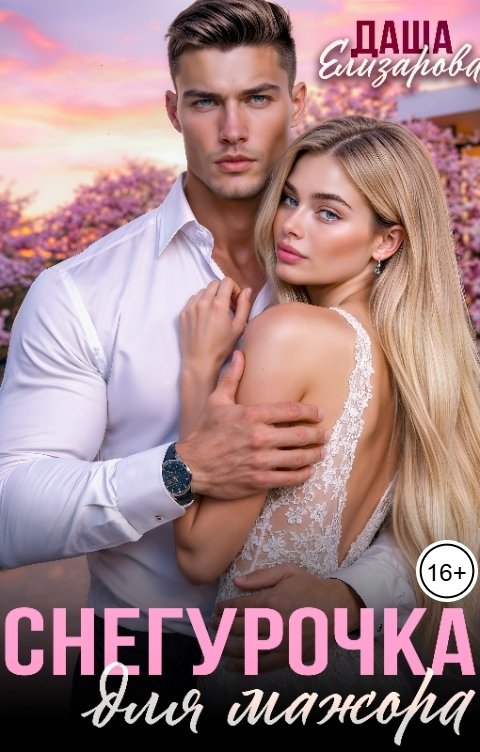 Обложка книги Даша Елизарова Снегурочка для мажора