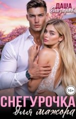 обложка книги Даша Елизарова "Снегурочка для мажора"