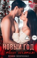 обложка книги Юлия Шевченко "Новый Год в твоих объятиях"