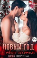 обложка книги Юлия Шевченко "Новый Год в твоих объятиях"