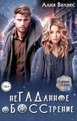 обложка книги Алия Велнес "НеГАДанное оБОССтрение. Бывшие"
