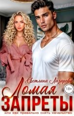 обложка книги Светлана Лазарева "Ломая запреты или как правильно снять начальство"