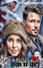 обложка книги Светлана Серебрякова и Ольга Берг "Рябина на снегу"