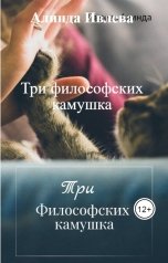 обложка книги Алинда Ивлева "Три философских камушка"