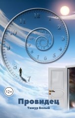 обложка книги Тимур Белый "Провидец"