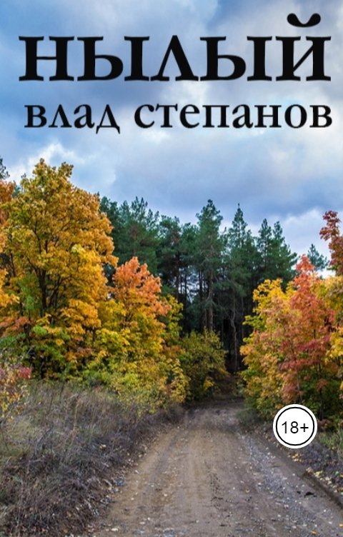 Обложка книги Влад Степанов Нылый