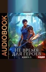 обложка книги Соломенный Илья "Не время для героев. Книга 5"