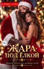 обложка книги Алекс Стар "Жара под елкой"