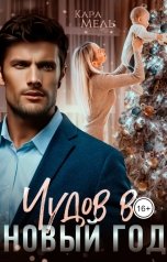 обложка книги Кара Мель "Чудов в Новый год"