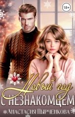 обложка книги Анастасия Пырченкова "Новый год с незнакомцем"