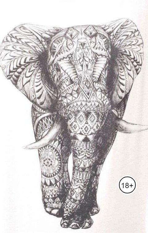 Обложка книги Niktamerk Светлый путь